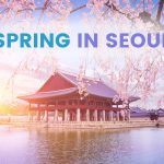 Spring in Korea: 9 Places to Visit in and around Seoul